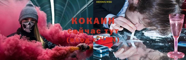 эйфоретик Пересвет