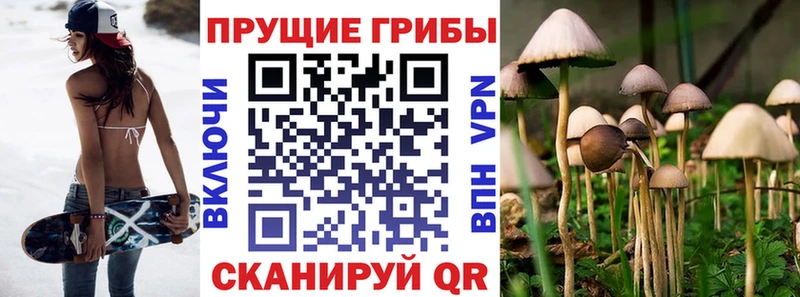 Псилоцибиновые грибы прущие грибы  Купить где  Разумное 